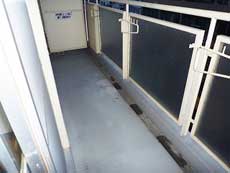 �_�C����n�C�c