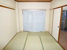 �_�C����n�C�c