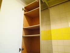 �O�����\�V�G�ʏo�V