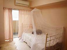 �Z���g�G������g��