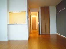 �V���[���]���ʏo��