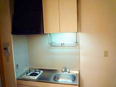 �V���[���]���ݗ�