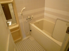 �A�K�}���V�����p�[�g�U