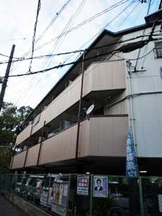 �A�K�}���V�����p�[�g�U