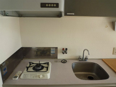 ���K�[���ʏo