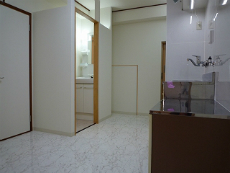 �n�C���A�T�_