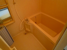 ���a�I�[�g���[�N�r��