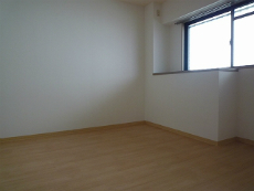 ���]�����i