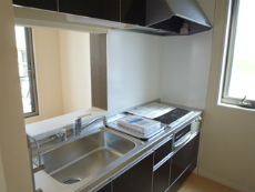 �V���[���]���V�_�m�X