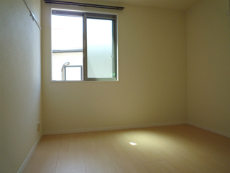 �V���[���]���V�_�m�X