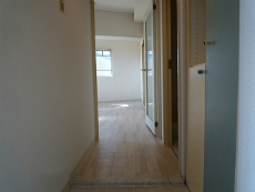 �����v���U�k����