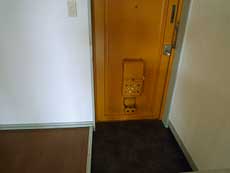 P-FLAT�V������