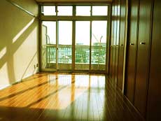 P-FLAT�V������