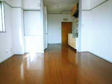 P-FLAT�V������