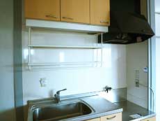 P-FLAT�V������