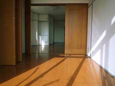 P-FLAT�V������