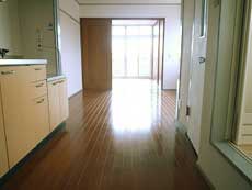 P-FLAT�V������