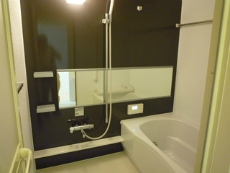 �V���[���]���V�_�m�X