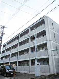 �p�[�N�T�C�h���