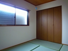 �n�C�c�o�g�V��