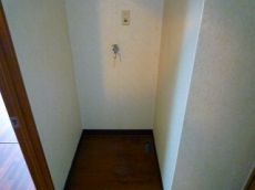 �n�C�c�o�g�V��