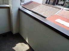 �n�C�c�o�g�V��