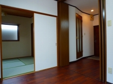 �n�C�c�o�g�V��