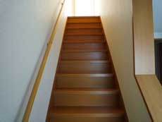 �n�C�c�o�g�V��