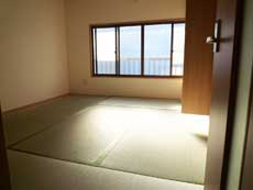 �n�C�c�o�g�V��