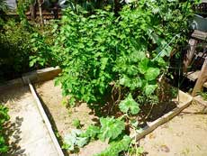 �A�K�}���V����