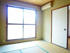 �A�K�}���V����