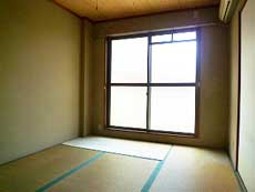 �A�K�}���V����