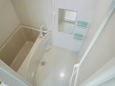 �Z�V�]�� �l���� �t���C�����X�l�� ���C