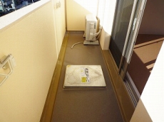 �Z�V�]�� �l���� �t���C�����X�l�� �o���R�j�[