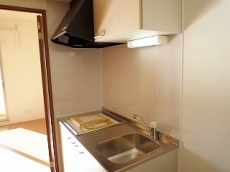 �Z�V�]�� �l���� �t���C�����X�l�� �L�b�`��