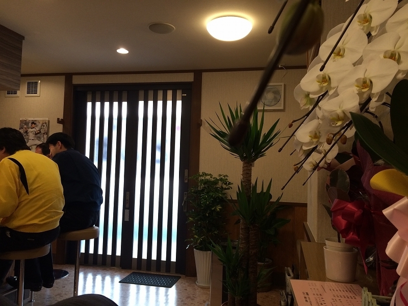 �Z�V�] �����ꉮ �m�H���X �j���[�Ƃ�